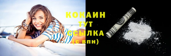 прущие грибы Аркадак