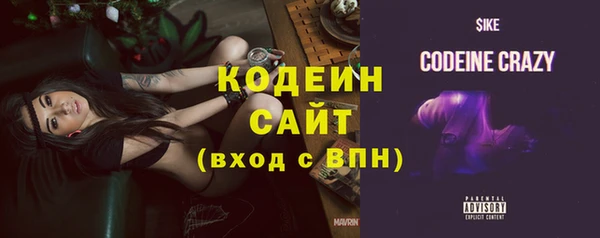 индика Переславль-Залесский