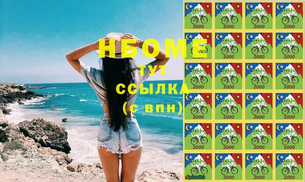 прущие грибы Аркадак