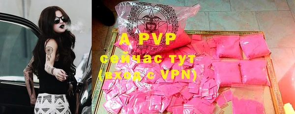 прущие грибы Аркадак