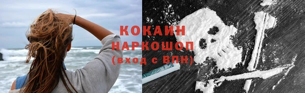 прущие грибы Аркадак