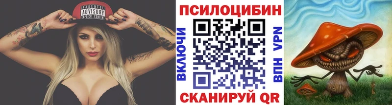 Псилоцибиновые грибы GOLDEN TEACHER Новоалександровск